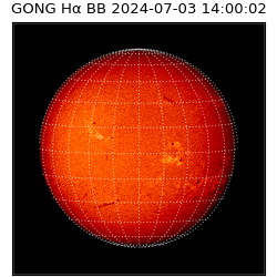 gong - 2024-07-03T14:00:02