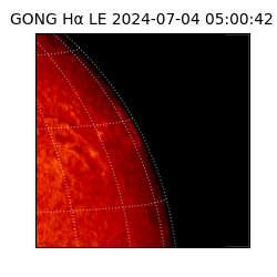 gong - 2024-07-04T05:00:42