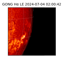 gong - 2024-07-04T02:00:42