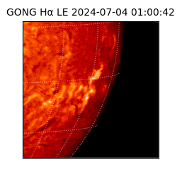 gong - 2024-07-04T01:00:42