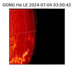 gong - 2024-07-04T03:00:42