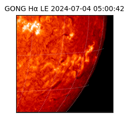 gong - 2024-07-04T05:00:42