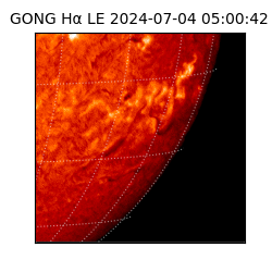 gong - 2024-07-04T05:00:42