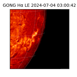 gong - 2024-07-04T03:00:42