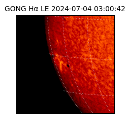 gong - 2024-07-04T03:00:42