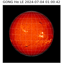 gong - 2024-07-04T01:00:42