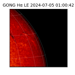 gong - 2024-07-05T01:00:42