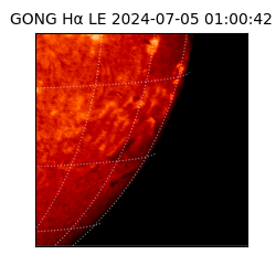 gong - 2024-07-05T01:00:42
