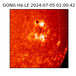 gong - 2024-07-05T01:00:42