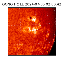 gong - 2024-07-05T02:00:42