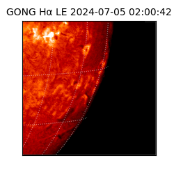 gong - 2024-07-05T02:00:42