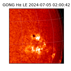 gong - 2024-07-05T02:00:42