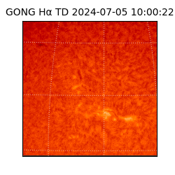 gong - 2024-07-05T10:00:22