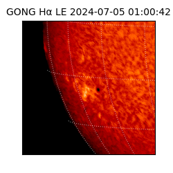 gong - 2024-07-05T01:00:42