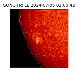 gong - 2024-07-05T02:00:42