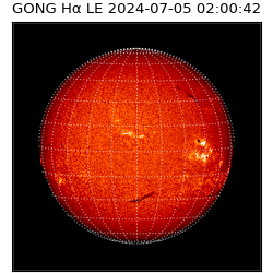 gong - 2024-07-05T02:00:42