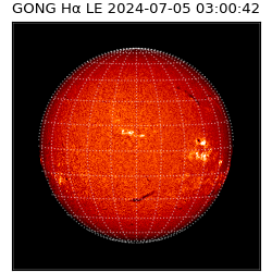 gong - 2024-07-05T03:00:42