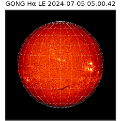 gong - 2024-07-05T05:00:42