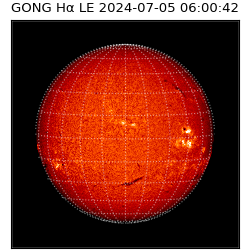 gong - 2024-07-05T06:00:42