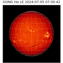 gong - 2024-07-05T07:00:42