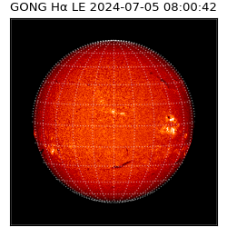 gong - 2024-07-05T08:00:42