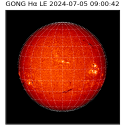 gong - 2024-07-05T09:00:42