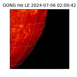 gong - 2024-07-06T02:00:42