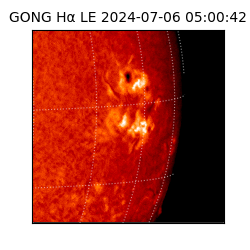 gong - 2024-07-06T05:00:42