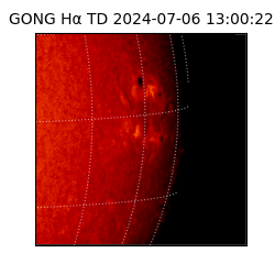 gong - 2024-07-06T13:00:22