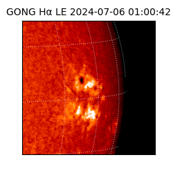 gong - 2024-07-06T01:00:42