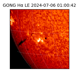 gong - 2024-07-06T01:00:42