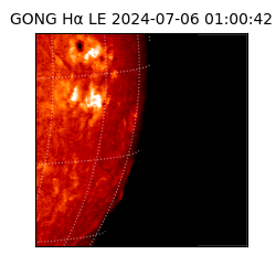 gong - 2024-07-06T01:00:42