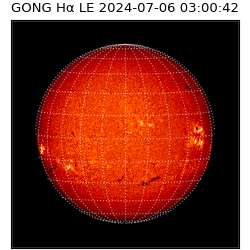 gong - 2024-07-06T03:00:42