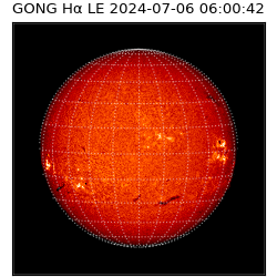 gong - 2024-07-06T06:00:42