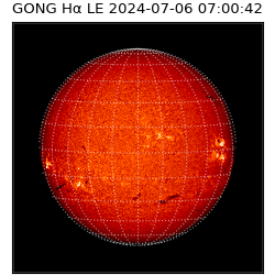 gong - 2024-07-06T07:00:42