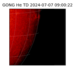 gong - 2024-07-07T09:00:22