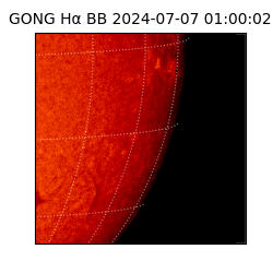 gong - 2024-07-07T01:00:02