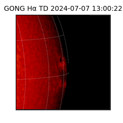 gong - 2024-07-07T13:00:22