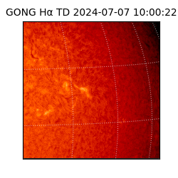 gong - 2024-07-07T10:00:22