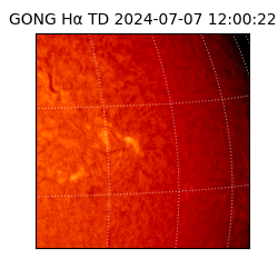 gong - 2024-07-07T12:00:22