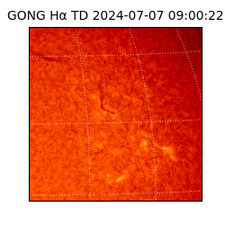 gong - 2024-07-07T09:00:22