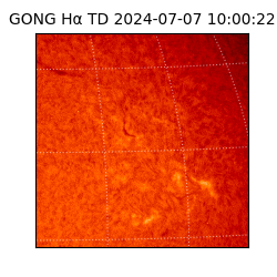 gong - 2024-07-07T10:00:22