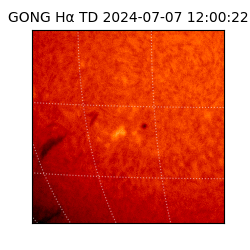 gong - 2024-07-07T12:00:22