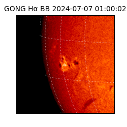 gong - 2024-07-07T01:00:02