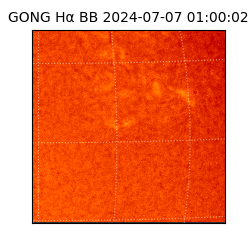 gong - 2024-07-07T01:00:02