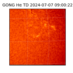 gong - 2024-07-07T09:00:22