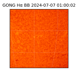 gong - 2024-07-07T01:00:02