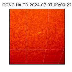 gong - 2024-07-07T09:00:22