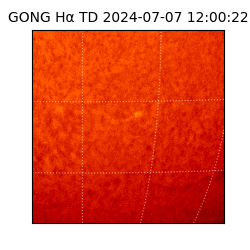 gong - 2024-07-07T12:00:22
