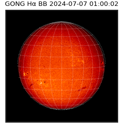 gong - 2024-07-07T01:00:02